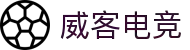 VK电竞(中国) - 亚洲电竞先驱